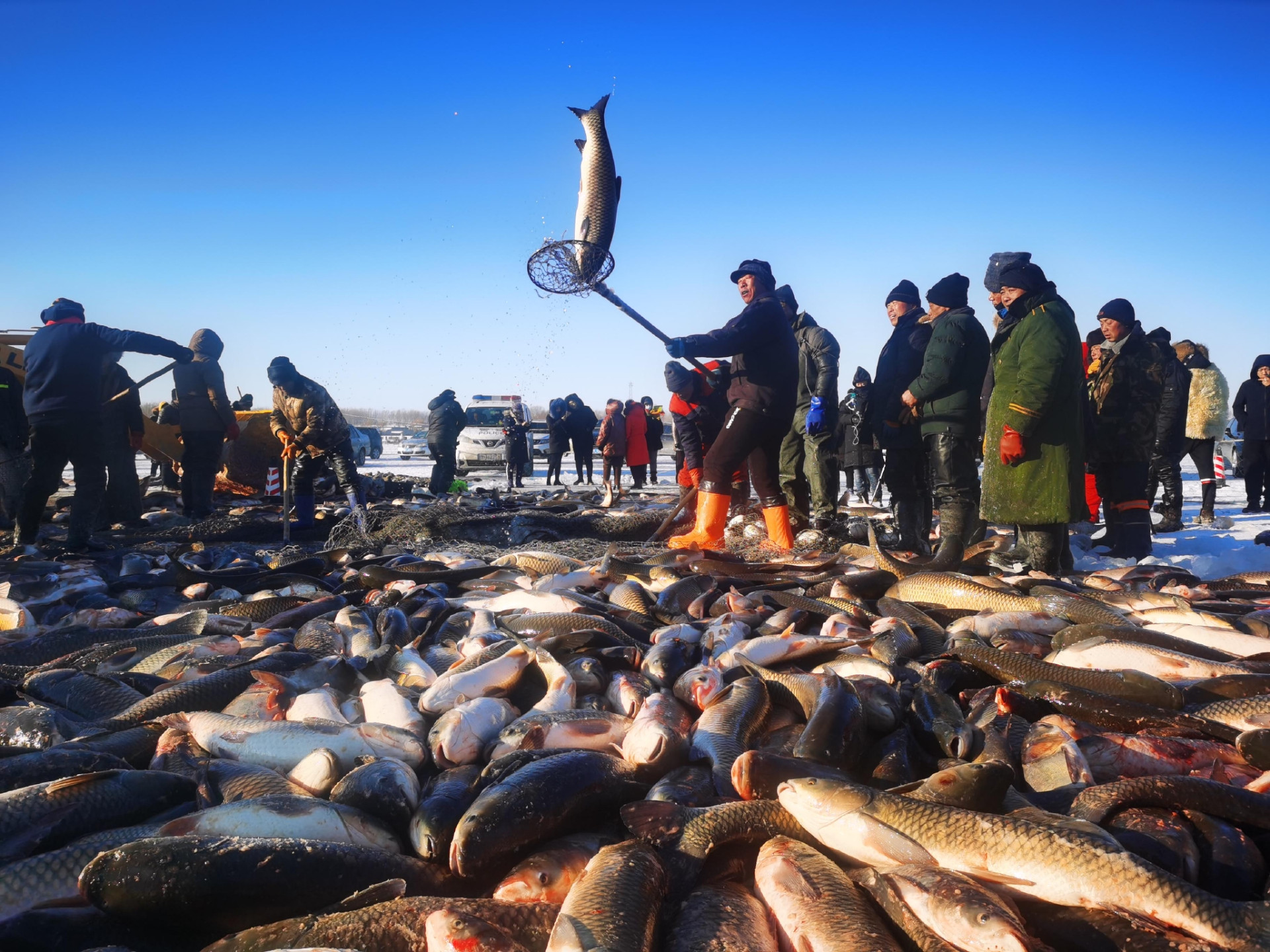 北京潤(rùn)達(dá)T-100S高速塑封機(jī)助力查干湖冬捕冷鏈包裝工廠(chǎng)實(shí)錄！